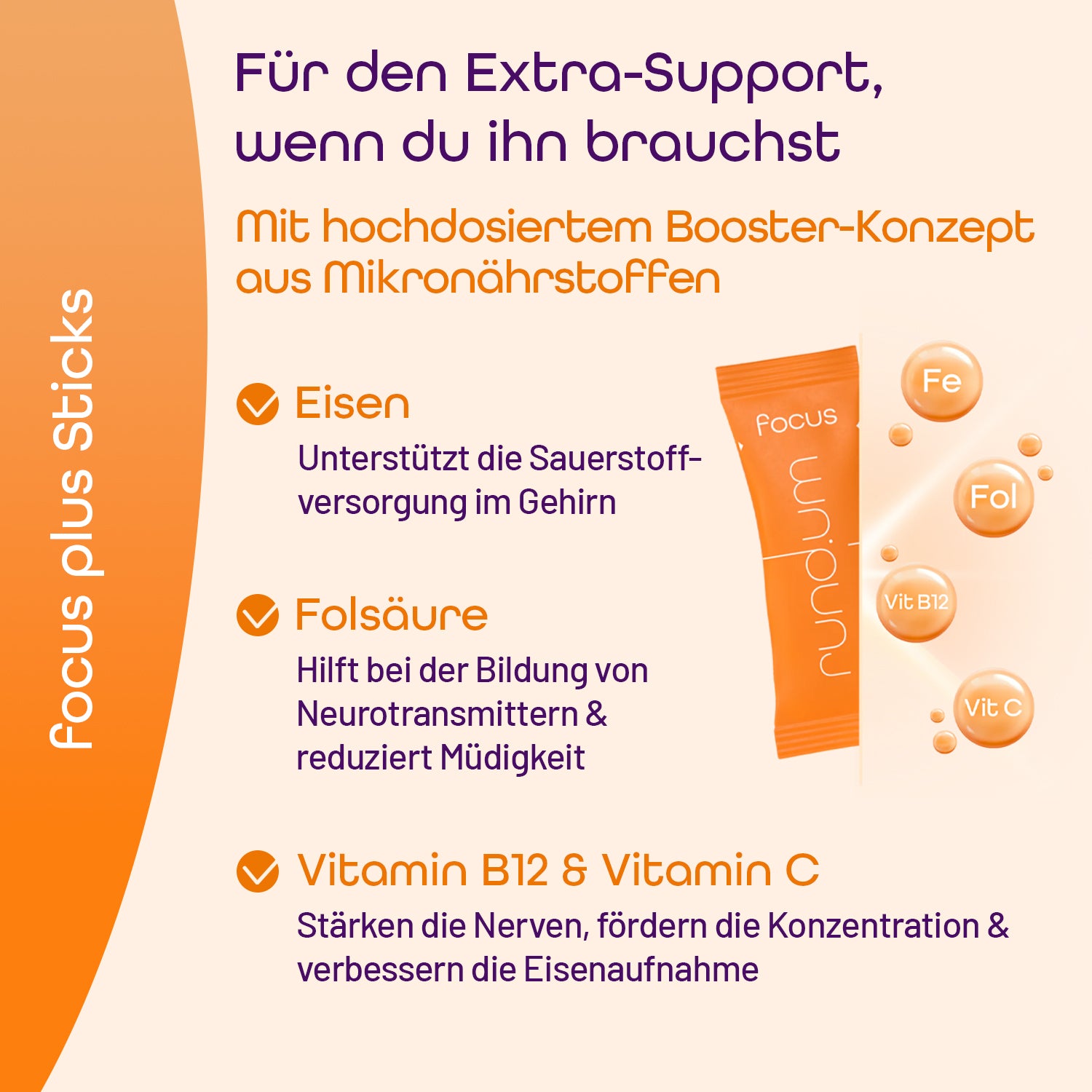 Inhaltsstoffe von den rund.um focus sticks mit EIsen, Folsäure, Vitamin B12 & Vitamin C