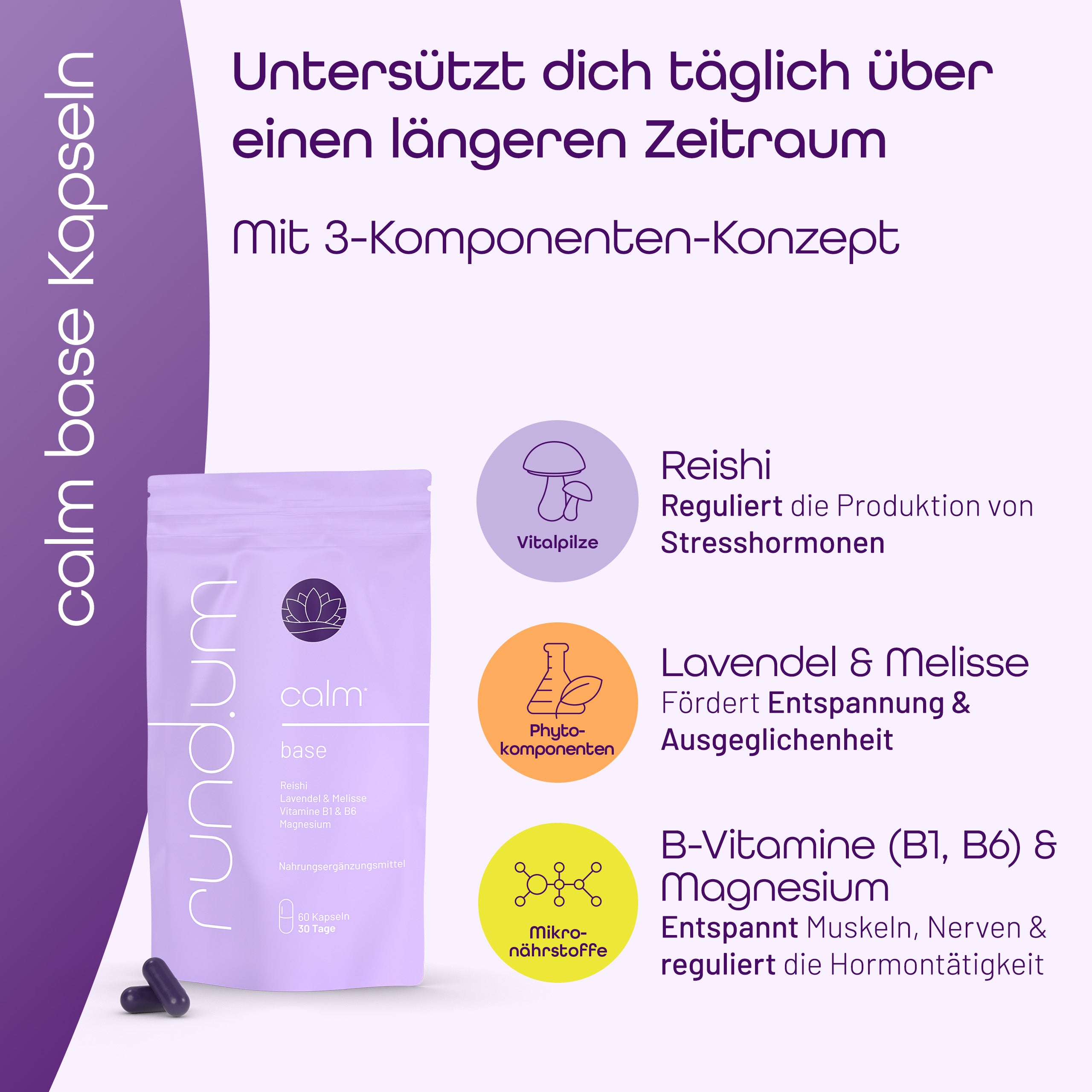 Übersicht der Inhaltsstoffe mit dem Vitalpilz Reishi, den Phytokomponenten Lavendel & Melisse sowie den Mikronährstoffen Magnesium & B-Vitamine