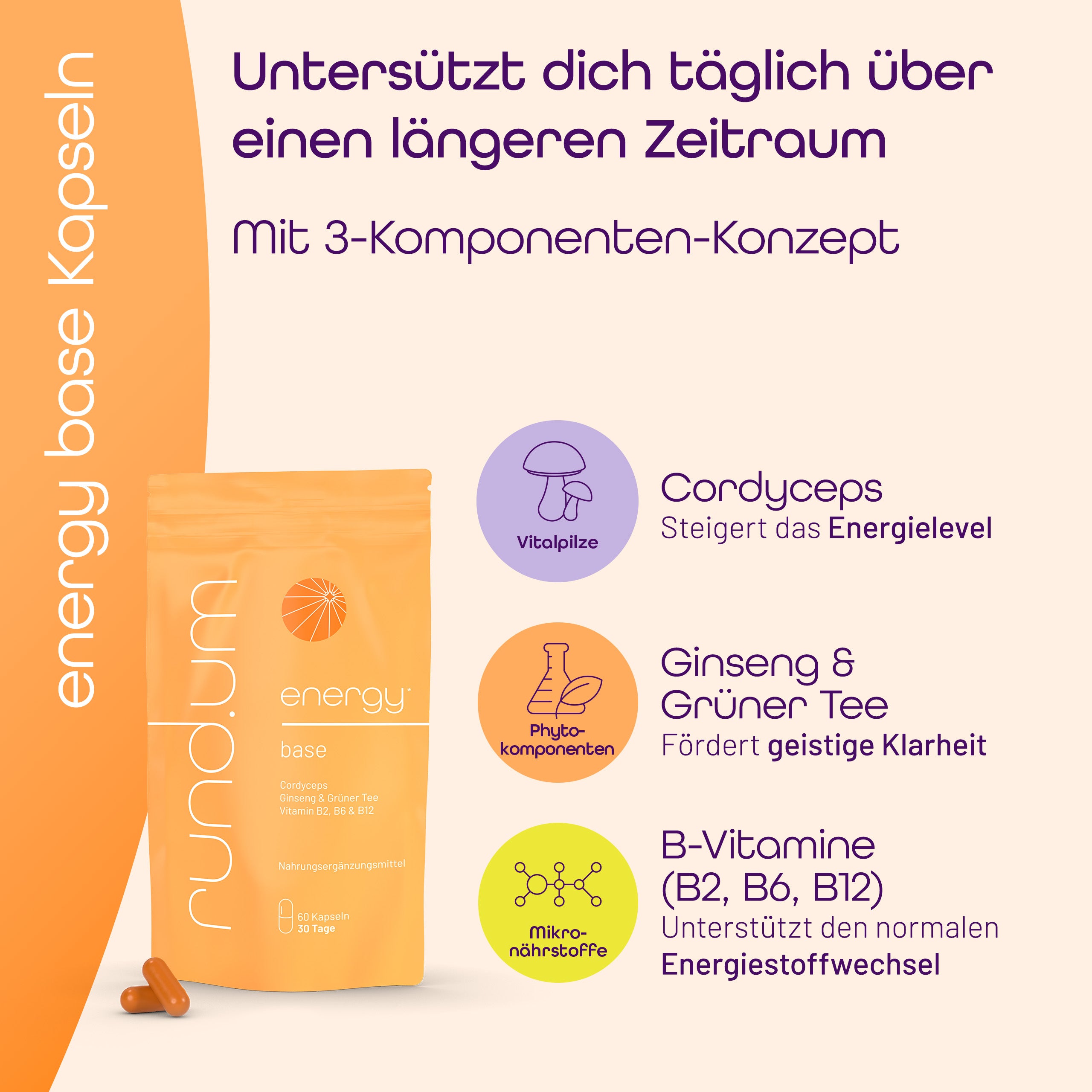 Inhaltsstoffe von rund.um energy mit dem Vitalpilz Cordyceps, Phytokomponenten Ginseng & Grüner Tee, Mikronährstoffe B-Vitamine