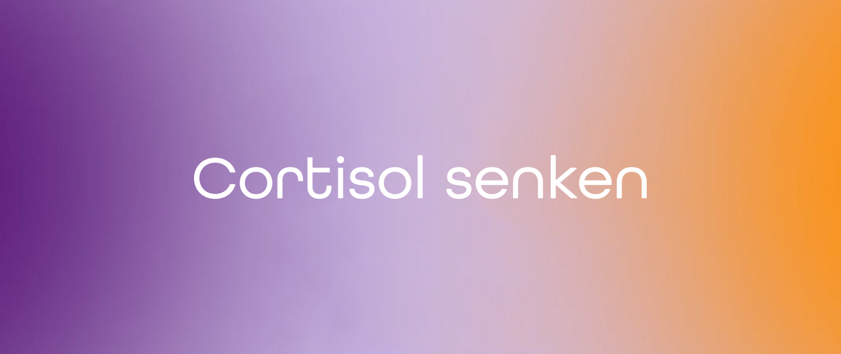Cortisol senken: Was hinter dem Stresshormon steckt
