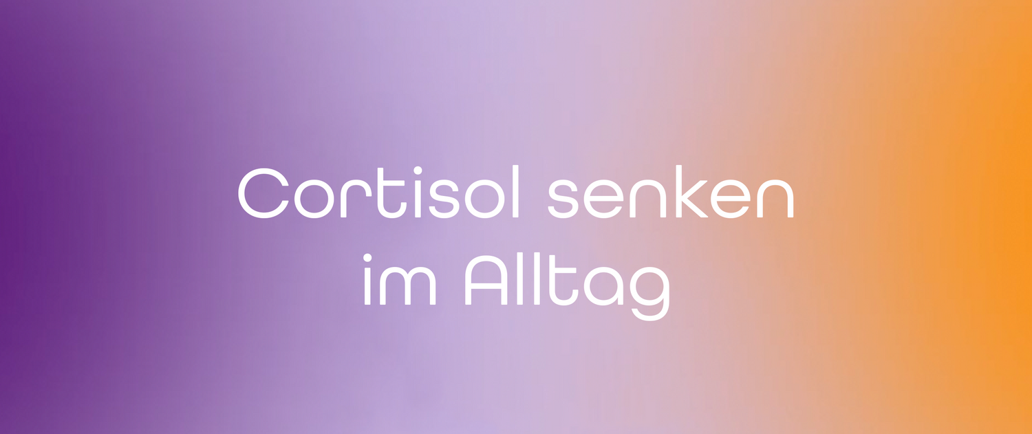Cortisol senken im Alltag – kleine Schritte, große Wirkung