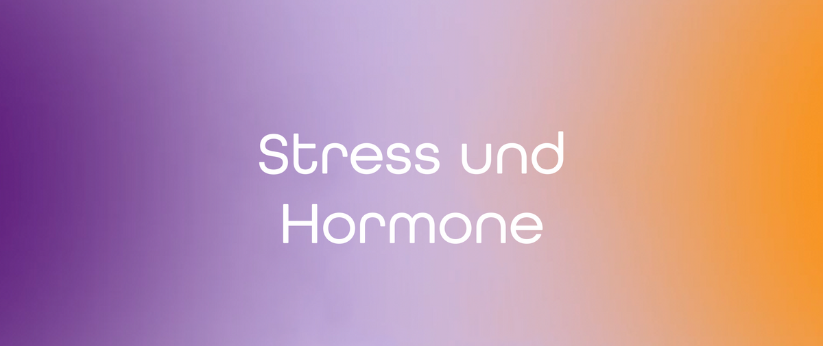 Stress und Hormone: Wie Cortisol deinen Körper beeinflusst