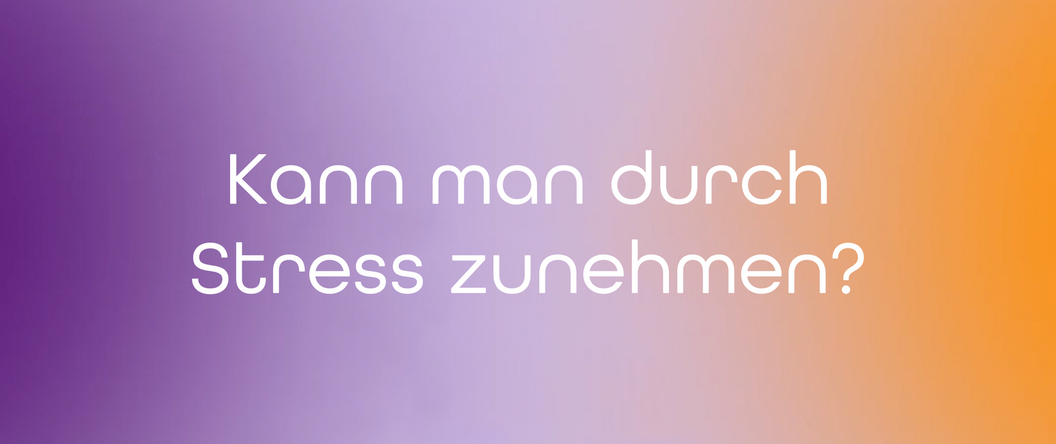 Kann man durch Stress zunehmen? Was im Körper passiert und warum Ernährung eine Rolle spielt