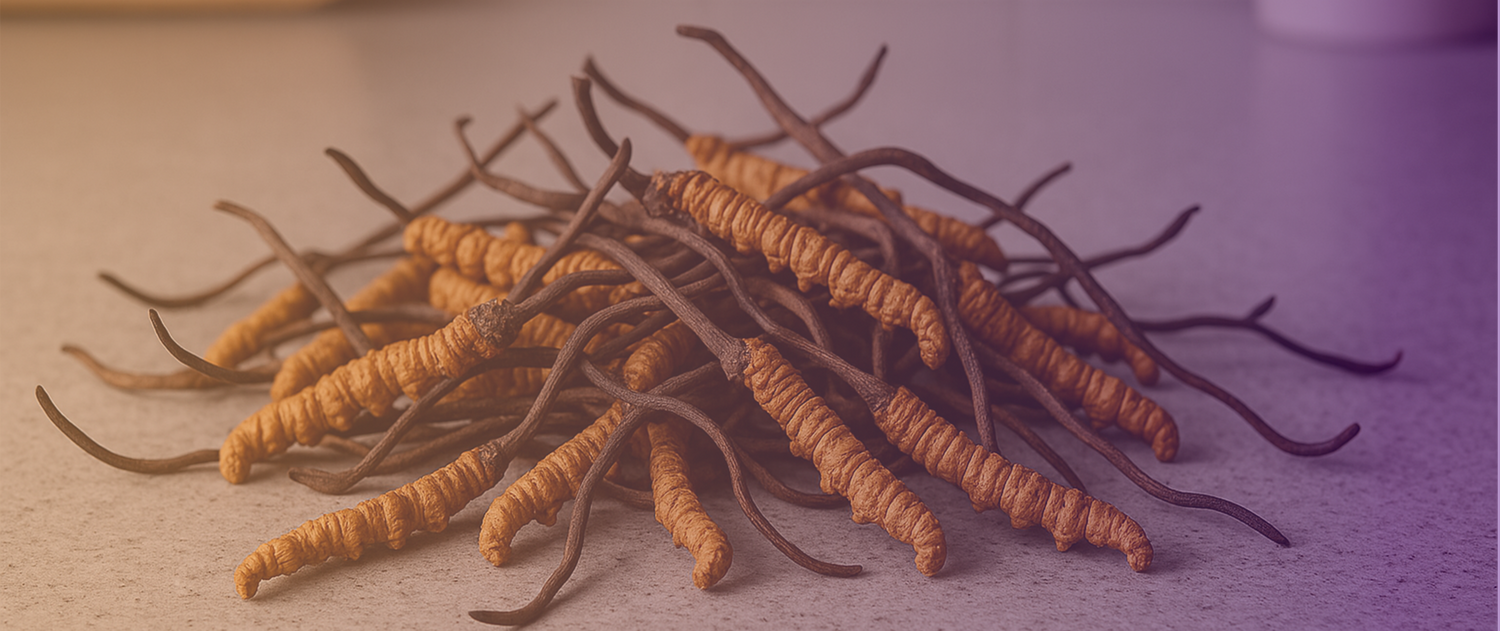Cordyceps Wirkung – Natürlich, bewusst und offen betrachtet