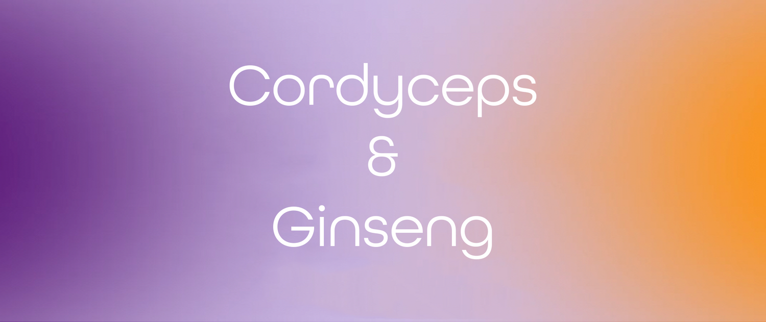 Mehr Energie, weniger Müdigkeit: Wie Cordyceps und Ginseng dich durch den Tag bringen