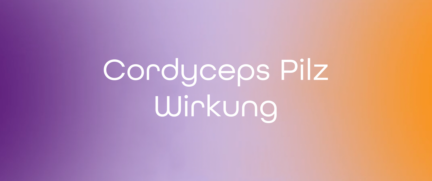 Cordyceps Pilz Wirkung: Ein Blick auf einen besonderen Vitalpilz