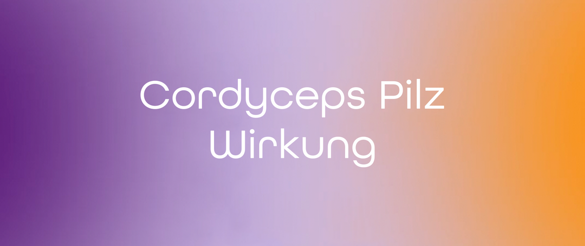 Cordyceps Pilz Wirkung: Ein Blick auf einen besonderen Vitalpilz