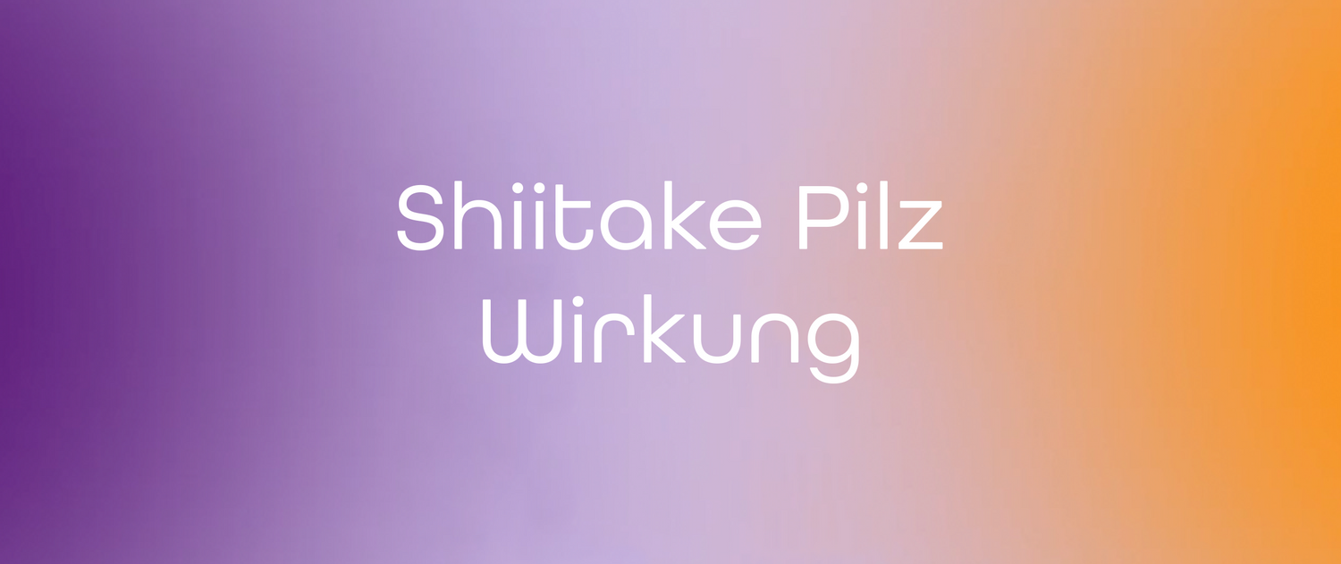 Shiitake Pilz Wirkung: Mehr als nur ein Speisepilz