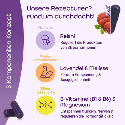 Übersicht der Inhaltsstoffe mit dem Vitalpilz Reishi, den Phytokomponenten Lavendel &amp; Melisse sowie den Mikronährstoffen Magnesium &amp; B-Vitamine