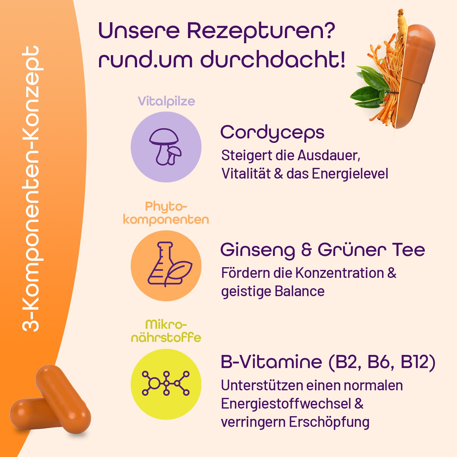 Inhaltsstoffe von rund.um energy mit dem Vitalpilz Cordyceps, Phytokomponenten Ginseng &amp; Grüner Tee, Mikronährstoffe B-Vitamine